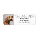 Search for golden doodle return address labels Puppy