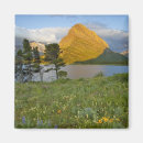 Search for many magnets Usa