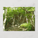 Search for trail photography Nature