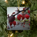 Search for dropping christmas tree decorations Rain
