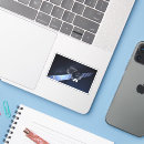 Search for solar panels stickers Spacecraft