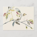 Search for leave postcards Botanical