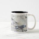 Search for gulls mugs Animals