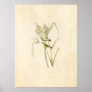 Search for warbler Illustration