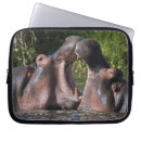 Search for ralph h bendjebar cases Fauna