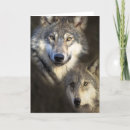 Search for wolves cards Nature
