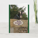 Search for old goat cards Funny