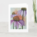 Search for coneflowers cards Watercolor
