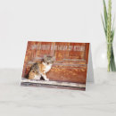 Search for rescue thank you cards Kitty