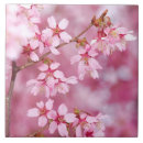 Search for hot plates tiles Ceramic