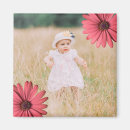 Search for daisy picture magnets Baby