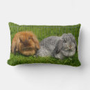 Search for bunny rabbit cushions Bunnies