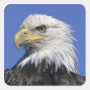 Search for eagle face stickers Usa