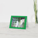 Search for peek cards Kitten