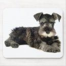 Search for mini mousepads Puppy