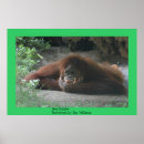 Search for thinker posters Humour