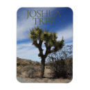 Search for joshua tree national rectangular magnets Yucca