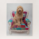Search for goldendoodle puzzles Cute