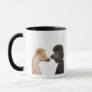 Search for examining mugs Horizontal