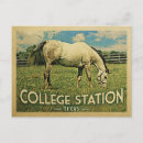 Search for station cards invites Texas