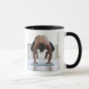 Search for yoga mat mugs Balance