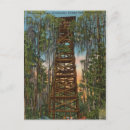 Search for swamp postcards Waycross