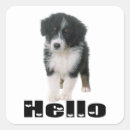 Search for australian shepherd dog stickers Cute