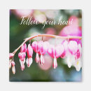 Search for bleeding magnets Flowers