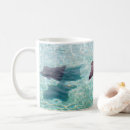 Search for stingray mugs Aquatic animal