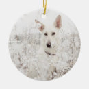 Search for german shepherd dog christmas tree decorations Winter