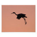 Search for sandhill posters Birder