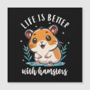 Search for hamster cards Animal lover