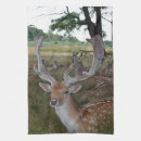 Search for stag tea towels Wildlife