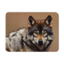 Search for wolf rectangular magnets Forest