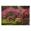 Search for azalea art Colourful