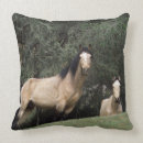 Search for mustang cushions Wild