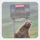 Search for grizzly bear stickers Alaska
