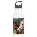 Search for colt drinkware Pony