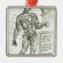 Search for vascular system Anatomy