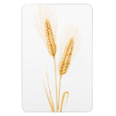Search for grains magnets Cereal