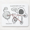 Search for neuron mousepads Anatomy