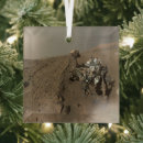 Search for mars christmas tree decorations Red planet