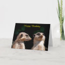 Search for mongoose cards Wildlife