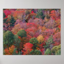 Search for algonquin posters Autumn