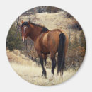 Search for mustangs magnets Free