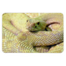 Search for albino magnets Reptile