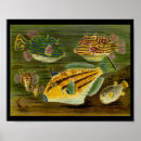 Search for green fish art Marine