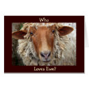 Search for sheep valentines day cards Humour