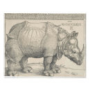 Search for rhino art Durer