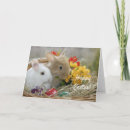 Search for basket easter cards Yellow